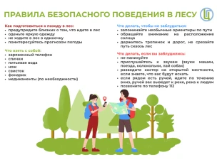 Безопасность в лесу.